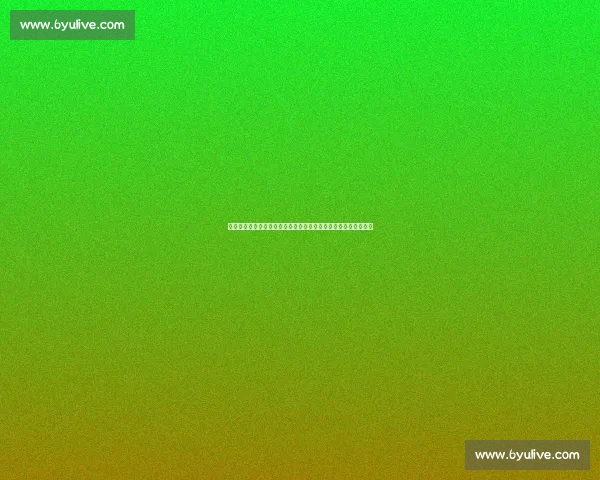 苏亚雷斯执教困境折射中国足球病：外援依赖与青训断层双重危机